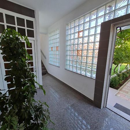 Guest House Barba Bibinje Exterior photo